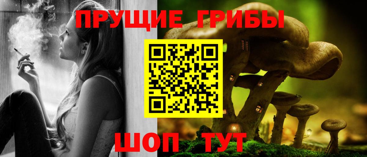 Гай  Галлюциногенные грибы прущие грибы  Галлюциногенные грибы MAGIC MUSHROOMS  Вход с VPN 